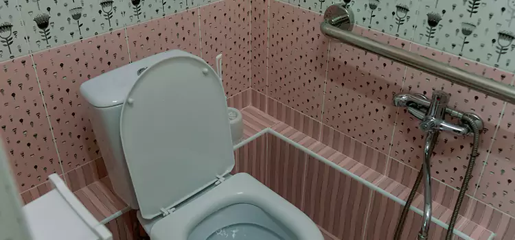 Meeting Diverse Needs With Accessible Restroom Solutions in Lehigh Acres, FL